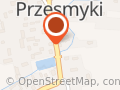 Klonpłyt S.C. Alojzy Godlewski, Grzegorz Żyłowski