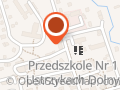 LEJOWSKI Nauka Jazdy