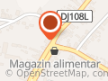CONTABIL AUTORIZAT PAPP SARA-ANA