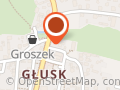 Parzyńska Alina. Gazety