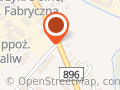 Dydak Paulina. Gabinet Fizjoterapii