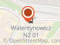 M BUS Przewozy Polska Anglia