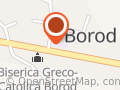 ŞCOALA CLASELE I-VIII BOROD