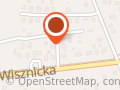 Naprawa Pojazdów
