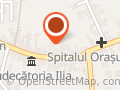 Tractari Ilia Non Stop A1