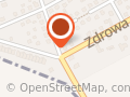 Zdrowa Customs