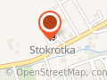 Stokrotka