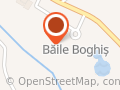 Băile Boghiş