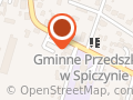BANK SPÓŁDZIELCZY W NIEMCACH ODDZIAŁ SPICZYN