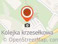 Choinkowe miasteczko Plantacja jodły kaukaskiej