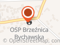 Ochotnicza Straż Pożarna w Brzeźnicy Bychawskiej