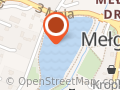 Żubr na stawie