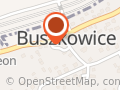 Ochotnicza Straż Pożarna w Buszkowicach