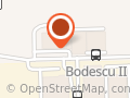 Bodescu Export Import