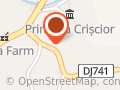 Primaria Criscior