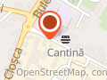 Regia Autonoma Comunala Satu Mare