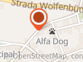 Aldoshoes