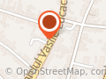 MICUL VIORICA