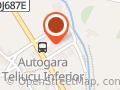 BRĂNESC SMĂRĂNDIŢA