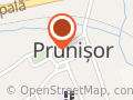 Primăria Prunişor