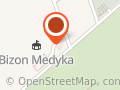LKS Bizon Medyka