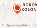 Szkółka roślin ozdobnych SZMARAGD