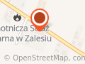 Szkoła Podstawowa w Zalesiu