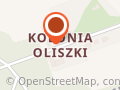 PROFIAUTO serwis, Janusz Kruk Mechanik