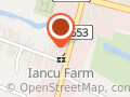 Iancu Tic