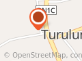 Primăria Turulung