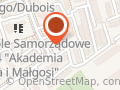 Kamykimoniki Biżuteria artystyczna