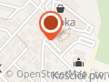 Akademia Koszykówki Młode Lwy
