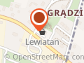 Lewiatan