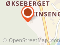 Bergstrøm Jan Olav Drosje