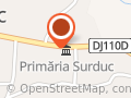 Primăria Surduc