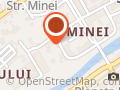 Muzeul Salvatorului Minier