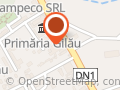 Şcoala de Sento - Combat University - MMA - KickBoxing (Gilău)