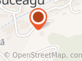 Pet Hotel Cluj - pensiune animale de companie