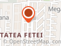 SEO Institute