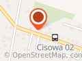 "USŁUGI TRANSPORTOWE" PALCZEWSKI SYLWESTER