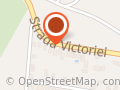 VIODOR CONT SRL