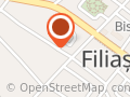 MN Dental Filiasi