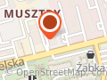 ZOPIN - maszynowe układanie kostki