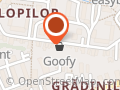 Magazin Alimentar Goofy