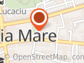 Remin SA Baia Mare