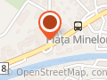 AutoGo - Rent a car - Inchirieri auto Baia Mare