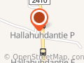 Elämys Ellit