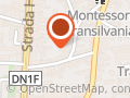 Ortoelitte