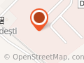 PUIUL DE BRADESTI