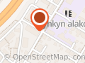 Amurin sähkötyö